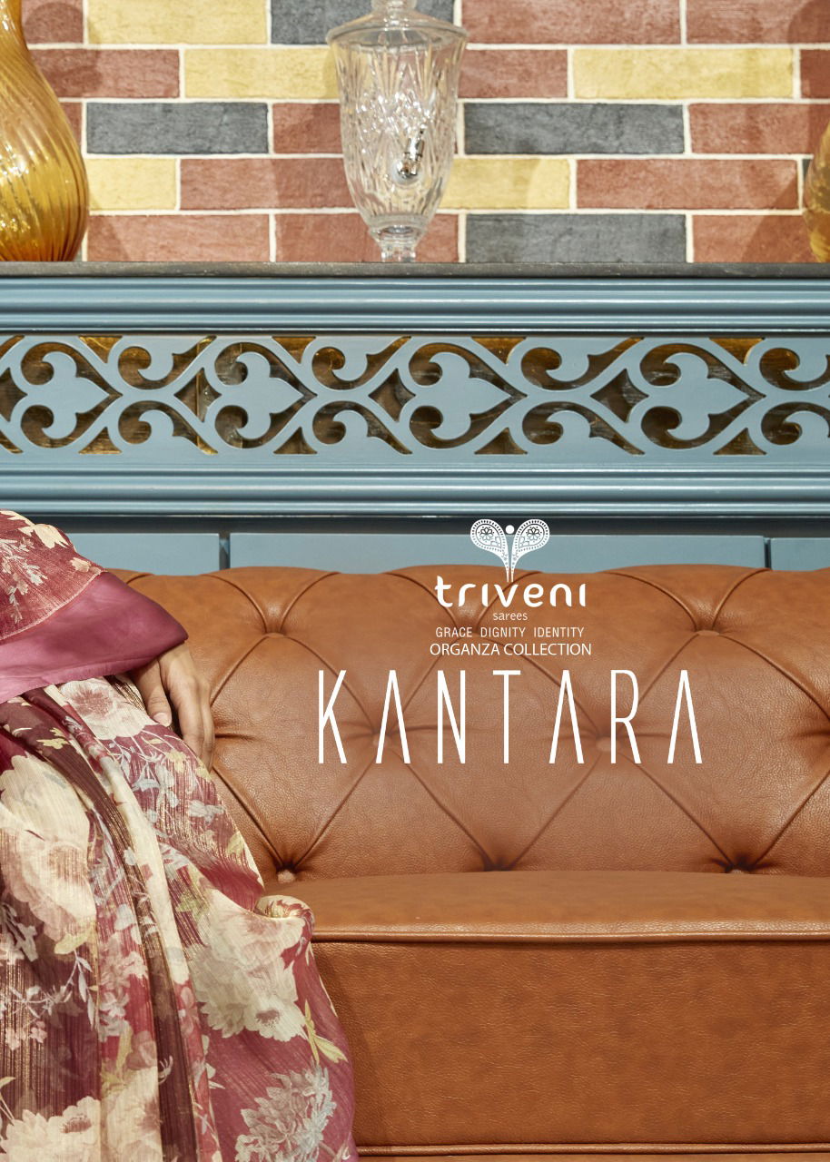 Triveni Kantara Fancy Ethnic Wear Wholesale Printed Saree Catalog